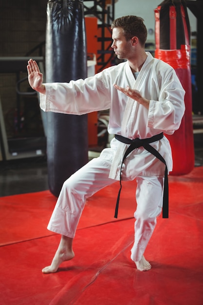 Karate player performing karate stance