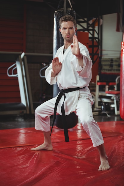 Karate player performing karate stance