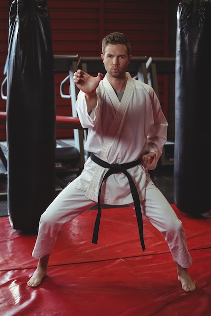 Karate player performing karate stance