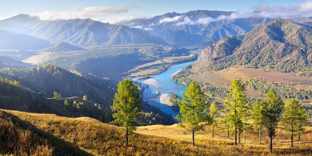 The Katun River flows among the mountains