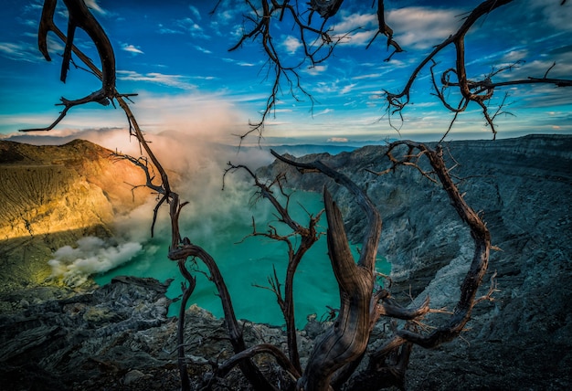 Kawah Ijen volcano with Dead trees on blue sky background in Java, Indonesia.