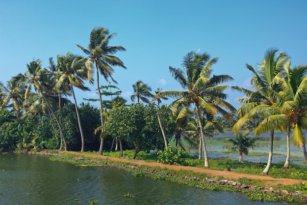 Kerala backwaters