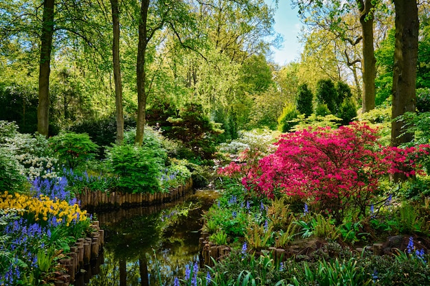 Keukenhof flower garden. Lisse, the Netherlands.