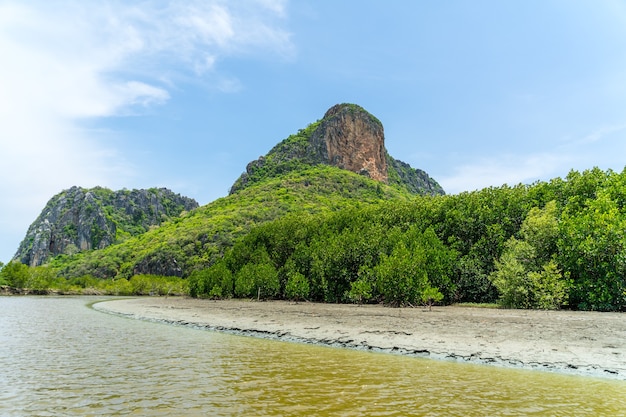 Photo khlong daeng canal boat trip at khao sam roi yot national park,  prachuap khiri khan province