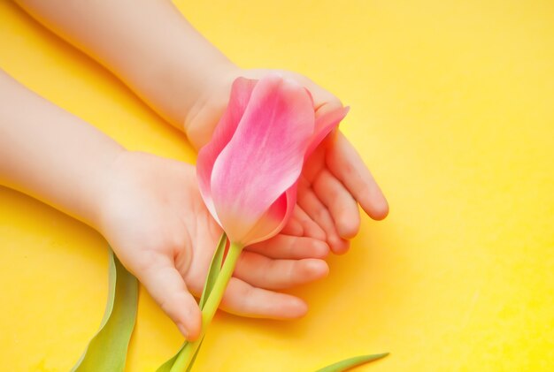 Kid baby girl holding a pink tulip in a hands on the yellow surface. Easter, mother day. Spring concept.