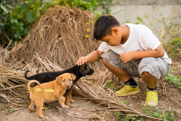 Kid boy playing with stray puppies