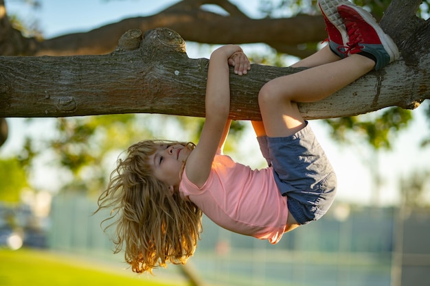 Kid climbing on a tree branch child climbs a tree