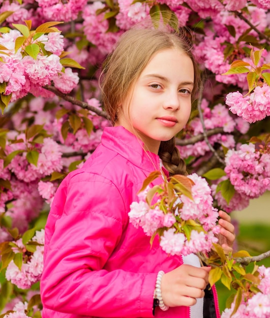 Kid enjoying pink cherry blossom Tender bloom Pink is the most girlish color Bright and vibrant Pink is my favorite Kid on pink flowers of sakura tree background Little girl enjoy spring