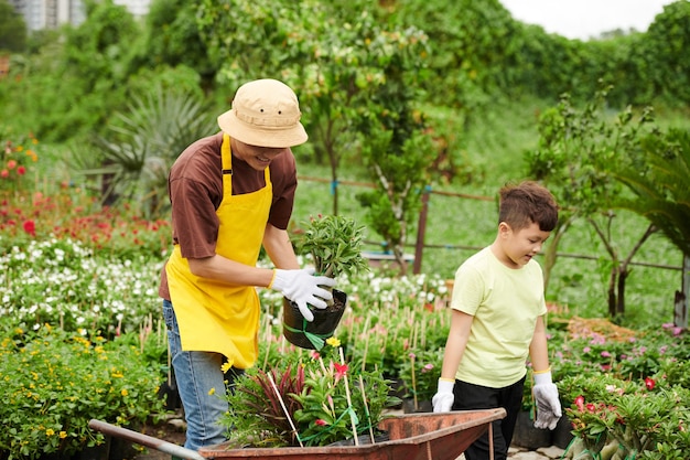 Kid Helping Father at Flower Nursery