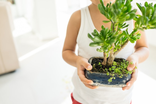 Kid holding plant growing organic herbs for cooking at home healthy lifestyle