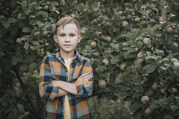 Kid teen boy picking a apple from a tree in a garden