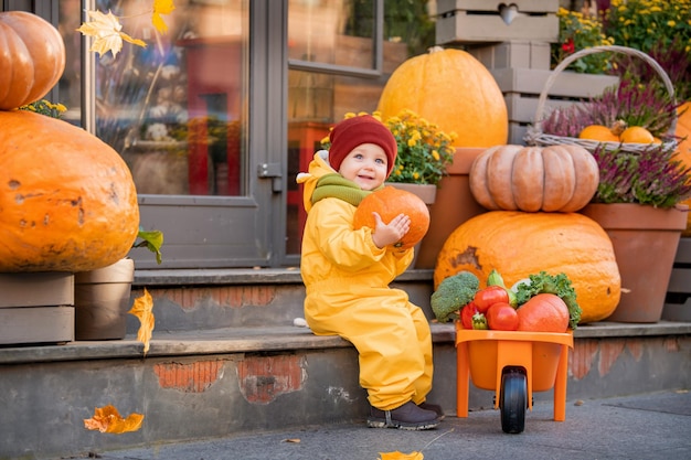 Kid in a yellow overalls drives toy car filled with vegetables among large pumpkins at fall fair