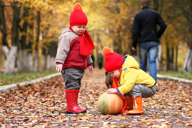 kids in autumn park with pumpkin around fall leaves