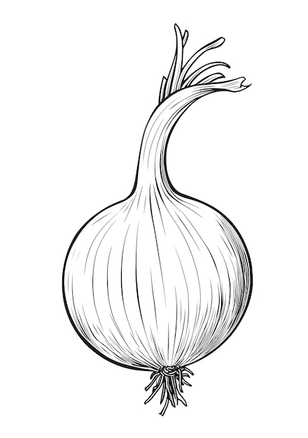 Kids book coloring pages vegetables design