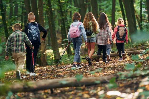 Kids in green forest at summer daytime together