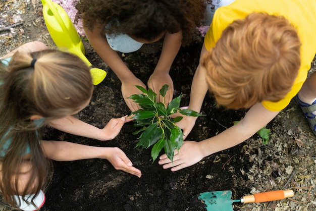 Kids planting together in the forest