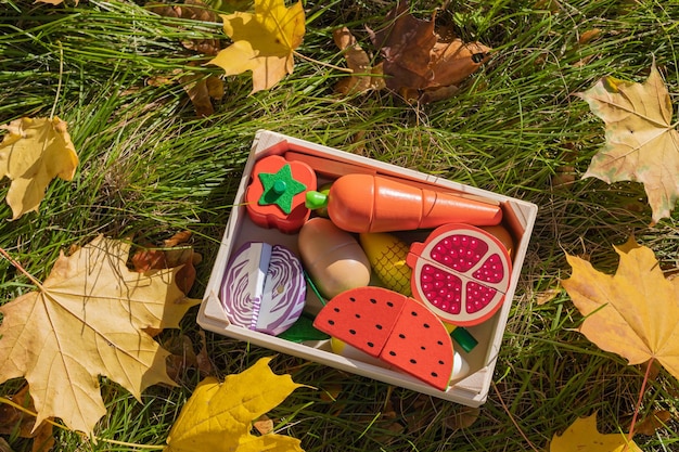 Kids toy wooden vegetables on the green grass close up childrens set of wooden vegetables in box