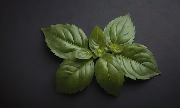 Kind of spices in Macro Photography