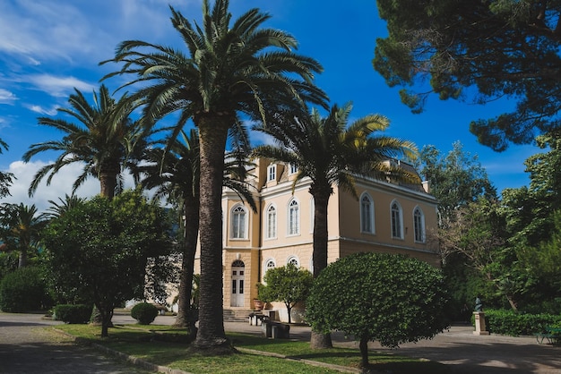 King Nikola's Palace and Palm Trees