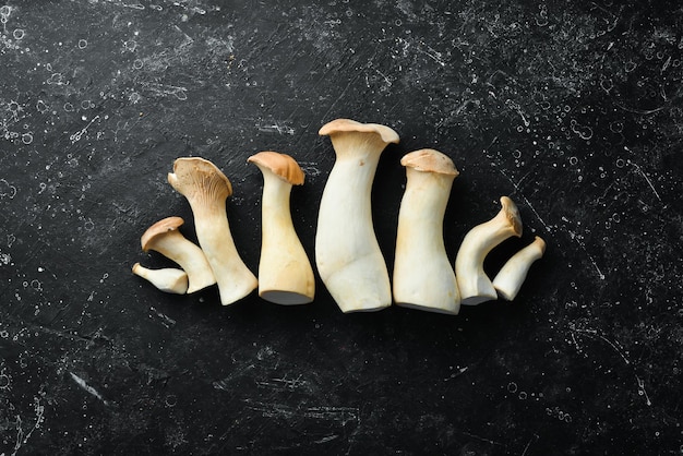 King Oyster mushroom or Eringi on a black stone background Mushrooms Top view Organic food