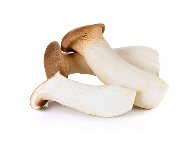 King oyster mushroom on white background