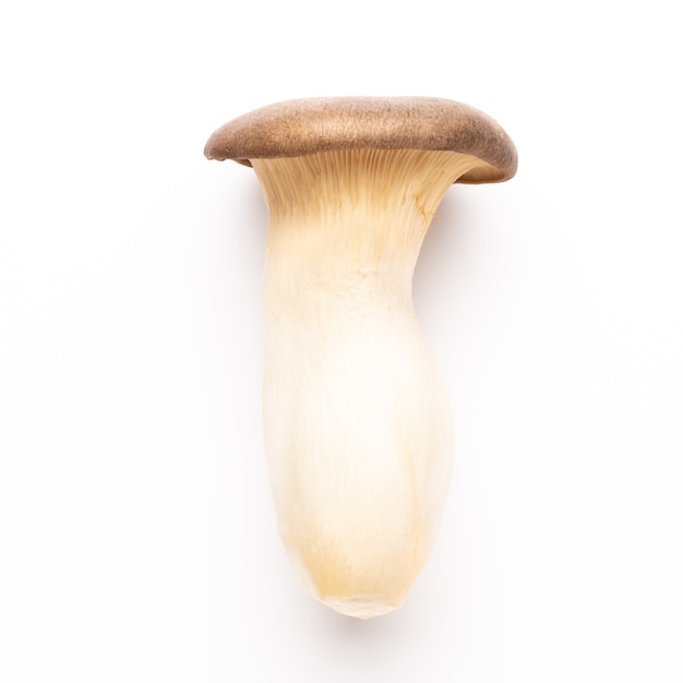 King oyster mushroom.