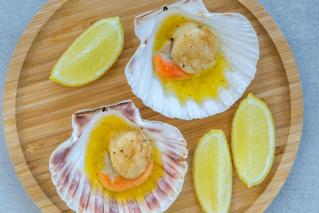 King scallop in shell