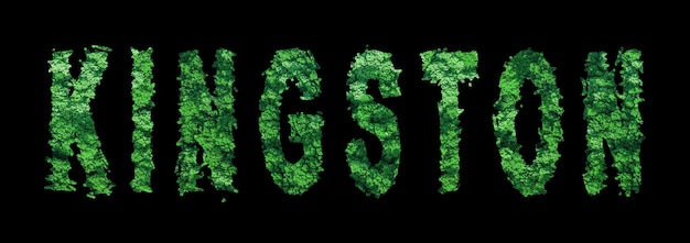 Kingston lettering Kingston Forest Ecology Concept