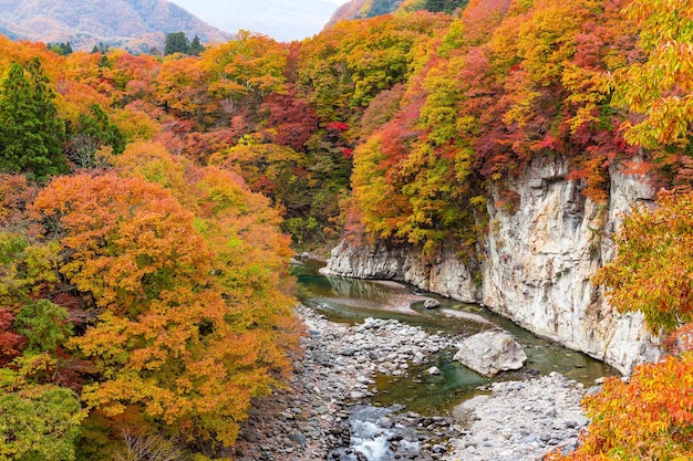 Kinugawa in Japan