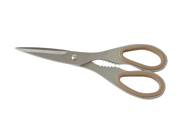 Kitchen stainless steel scissors closed