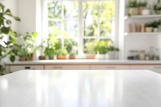 a kitchen with a window that has a plant on it