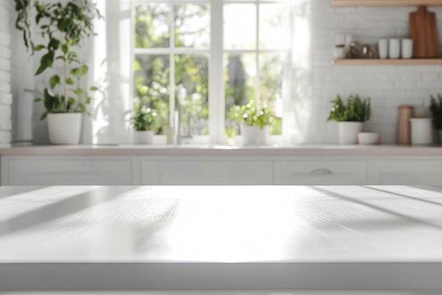 a kitchen with a window that has a plant on it