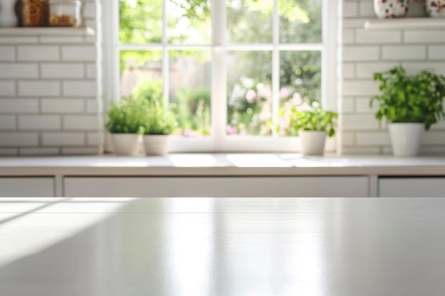 a kitchen with a window that has a plant on the window sill