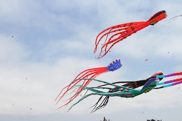 Kite Festival