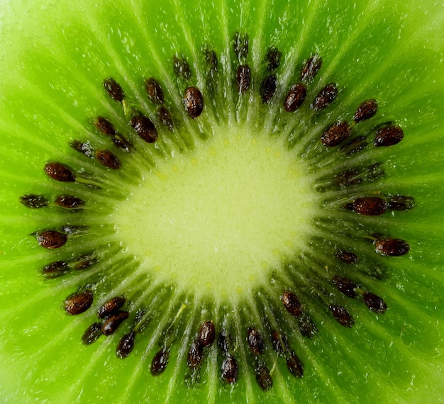 Kiwi Fruit Fresh