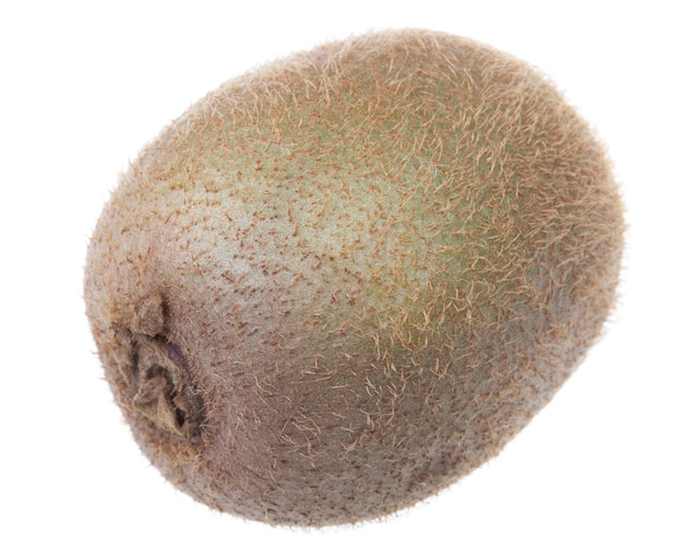 Kiwi fruit on a white background