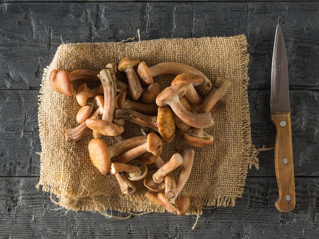 A knife with a wooden handle and forest mushrooms on a piece of burlap on a wooden table