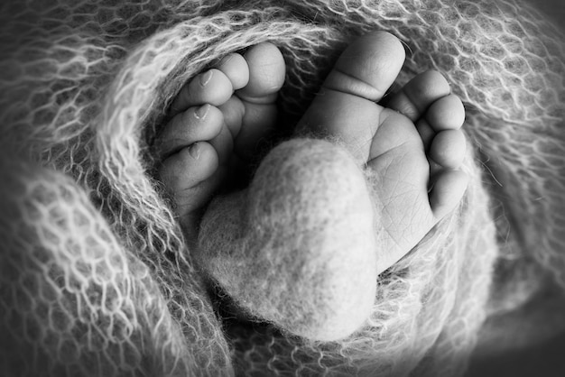 Knitted heart in the legs of a baby Soft feet of a new born in a wool blanket Closeup of toes heels and feet of a newborn Macro black and white photography the tiny foot of a newborn baby