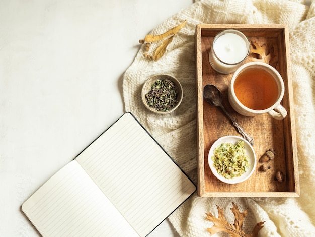 Knitted plaid, cup of herbal tea and open notepad