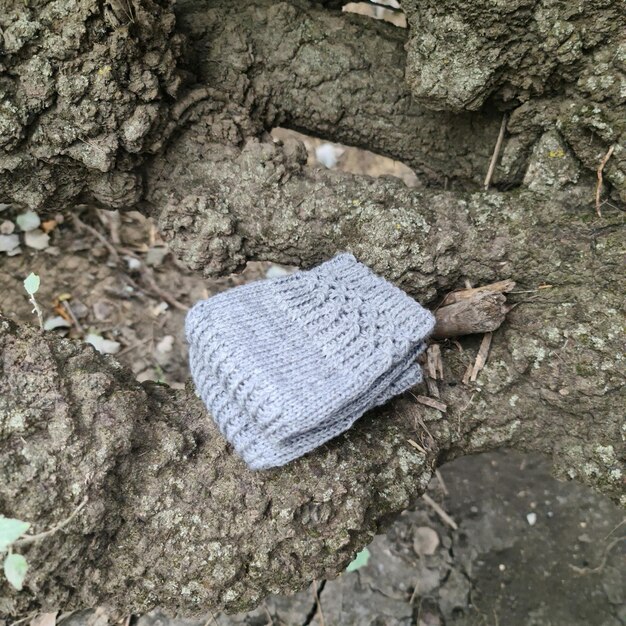 A knitted sock on a tree branch