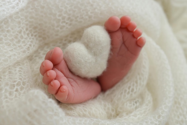 Knitted white heart in the legs of a baby Macro photography The tiny foot of a newborn baby Soft feet of a new born in a white wool blanket Close up of toes heels and feet of a newborn