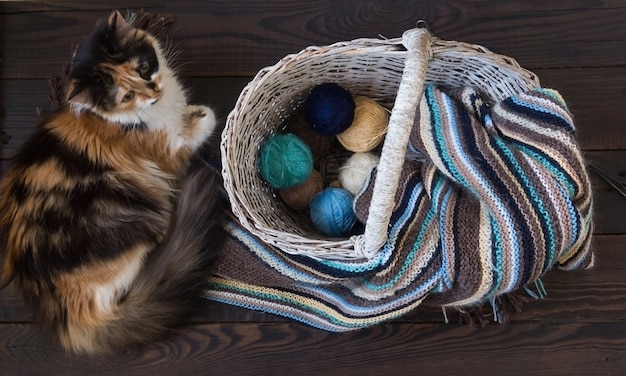 Knitted woolen scarf and yarn balls in a wicker basket on a wooden surface. Nearby lies fluffy cat