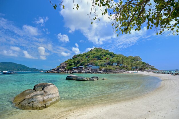 Koh tao