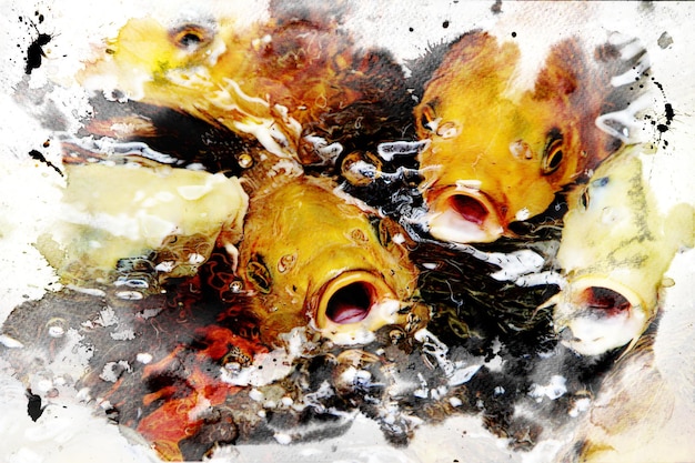 Koi Carp fish swimming in the pond. fish watercolor illustration