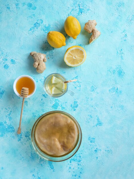 Photo kombucha fungus with ginger root, honey and lemon.