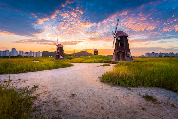 Korea landscape Beautiful sunset and traditional windmills, incheon South Korea, Sorae ecology wetland park