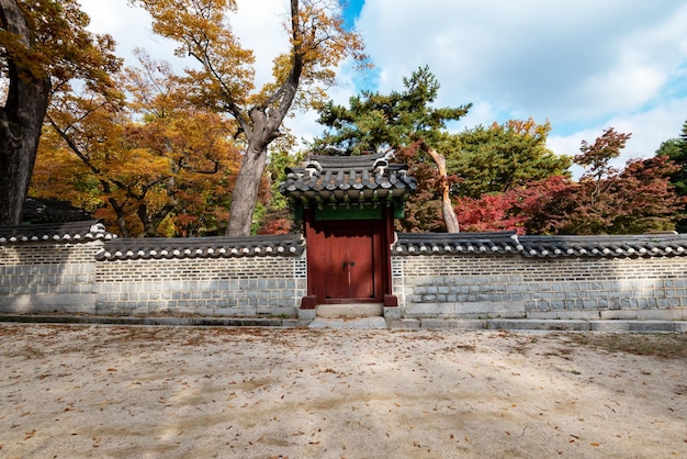 Korean style garden with old gate at Changdeokgung Palace in South Korea