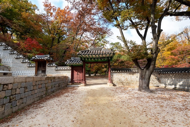 Korean style garden with old gate at Changdeokgung Palace in South Korea