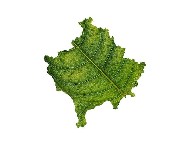 Kosovo map made of green leaves on soil background ecology concept