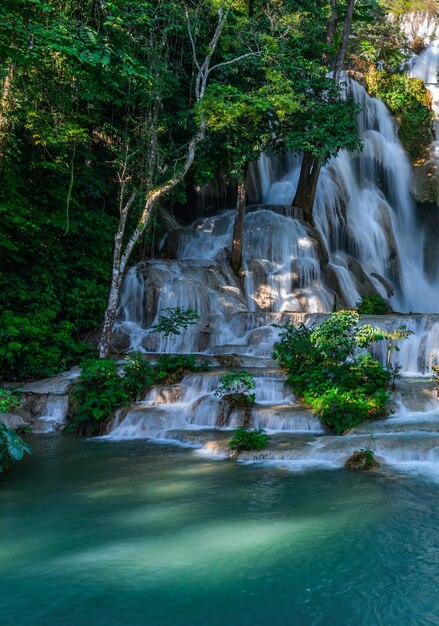 Photo kuang si waterfall the most popular tourist attractions lungprabang laos